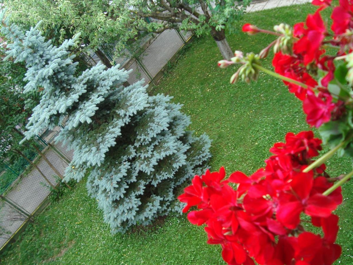 Casa Cu Flori Hotel บุชเตนี ภายนอก รูปภาพ