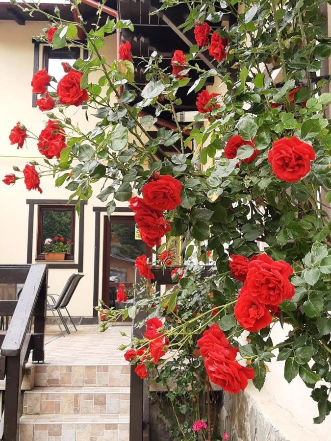 Casa Cu Flori Hotel บุชเตนี ภายนอก รูปภาพ