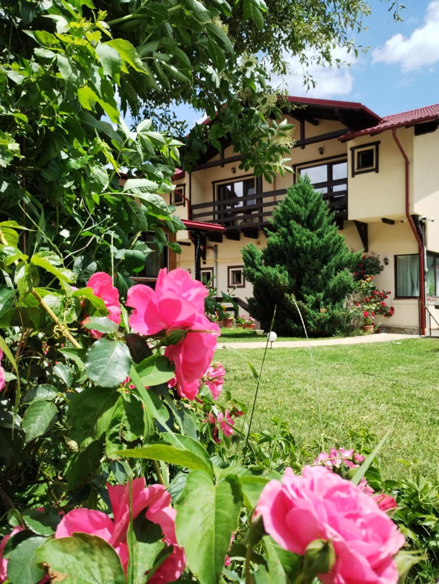 Casa Cu Flori Hotel บุชเตนี ภายนอก รูปภาพ